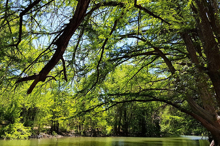 Maravillas Naturales en Durango